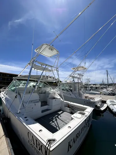 Cabo 35 sportfish yacht cleaned and ready at the marina